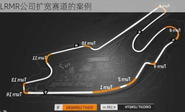LRMR公司扩宽赛道的案例