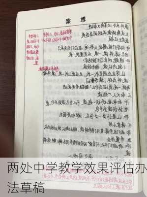 两处中学教学效果评估办法草稿