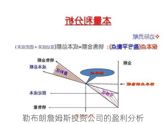 勒布朗詹姆斯投资公司的盈利分析