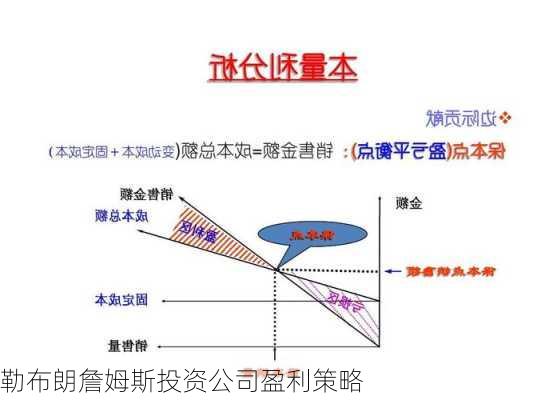 勒布朗詹姆斯投资公司盈利策略