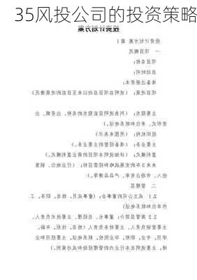 35风投公司的投资策略