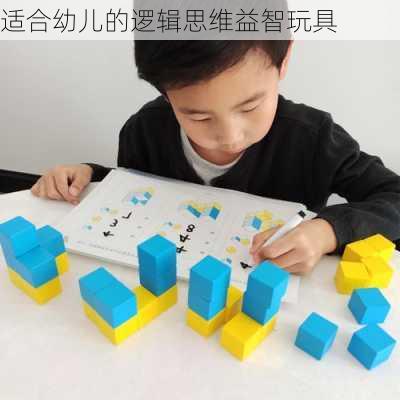 适合幼儿的逻辑思维益智玩具