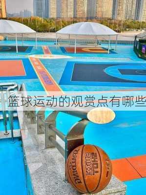 篮球运动的观赏点有哪些