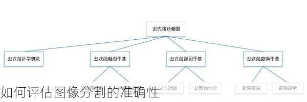 如何评估图像分割的准确性