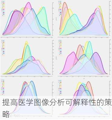 提高医学图像分析可解释性的策略