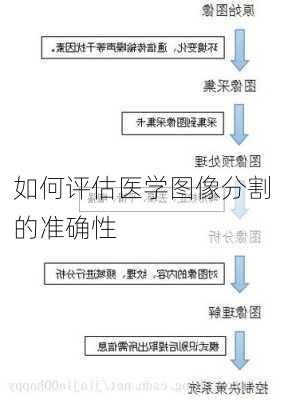 如何评估医学图像分割的准确性