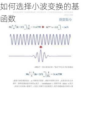 如何选择小波变换的基函数