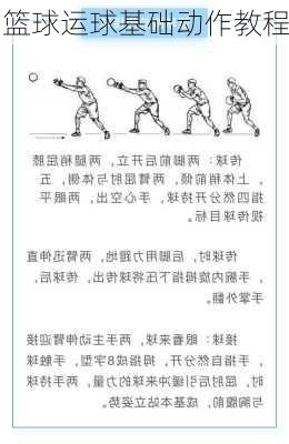 篮球运球基础动作教程
