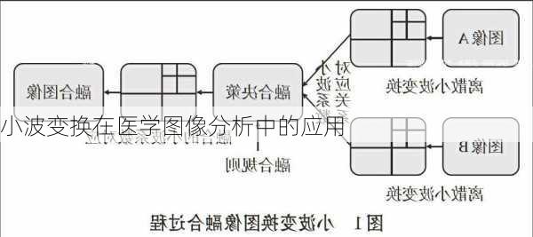 小波变换在医学图像分析中的应用