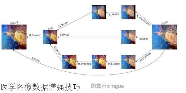 医学图像数据增强技巧