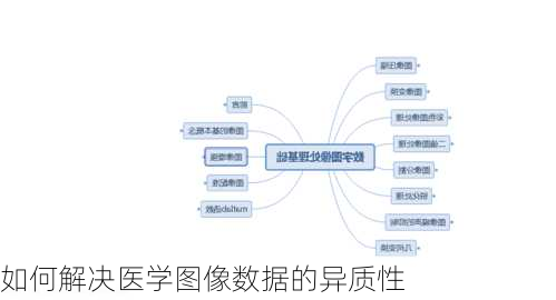 如何解决医学图像数据的异质性