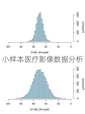 小样本医疗影像数据分析