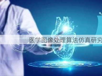 医学图像处理算法仿真研究