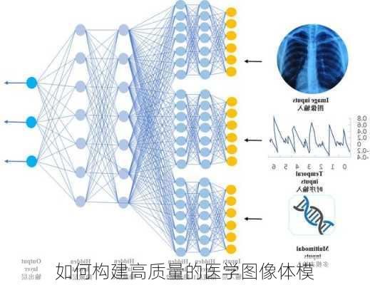如何构建高质量的医学图像体模