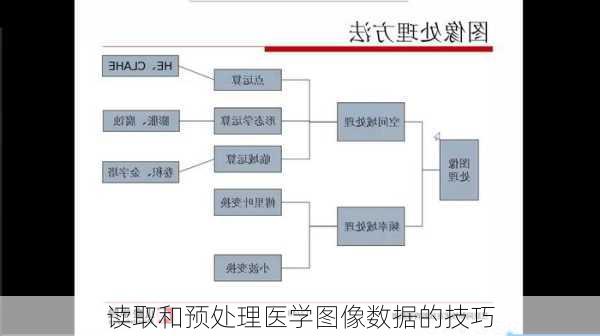 读取和预处理医学图像数据的技巧