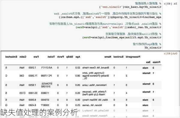 缺失值处理的案例分析