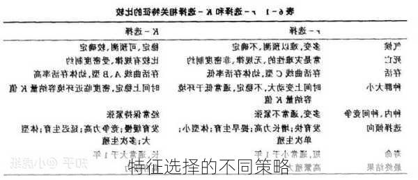 特征选择的不同策略