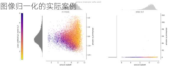 图像归一化的实际案例