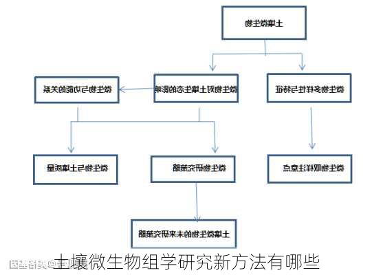 土壤微生物组学研究新方法有哪些