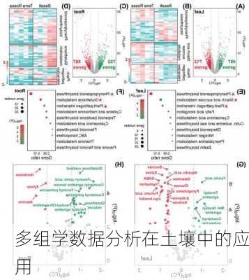 多组学数据分析在土壤中的应用