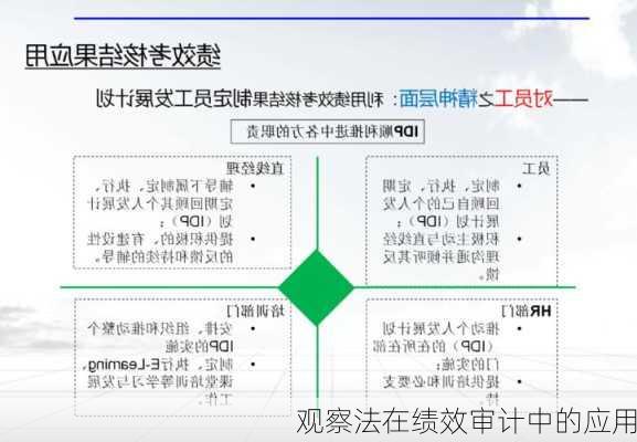 观察法在绩效审计中的应用