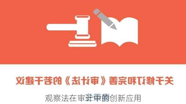 观察法在审计中的创新应用