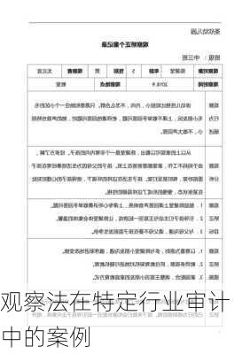 观察法在特定行业审计中的案例