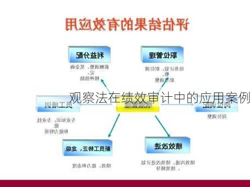 观察法在绩效审计中的应用案例