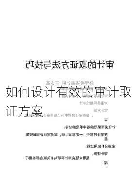 如何设计有效的审计取证方案