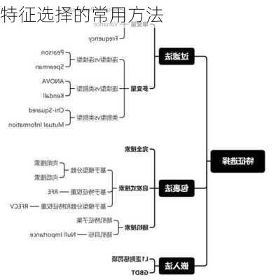 特征选择的常用方法