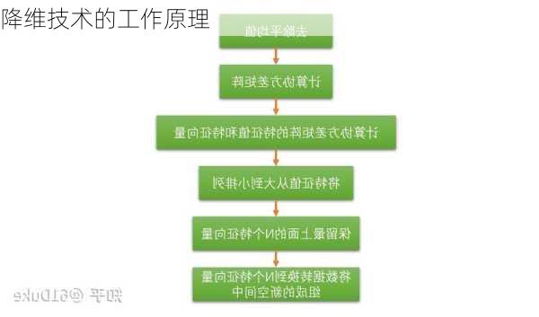 降维技术的工作原理
