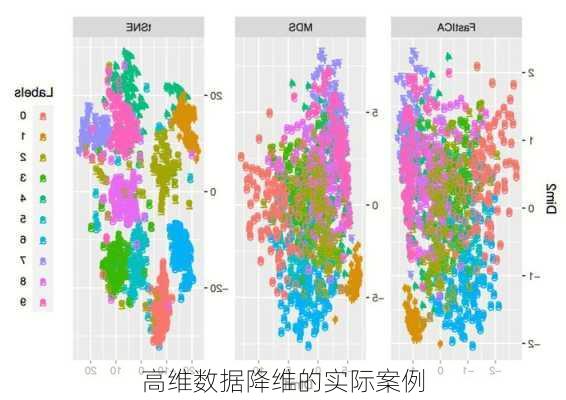 高维数据降维的实际案例