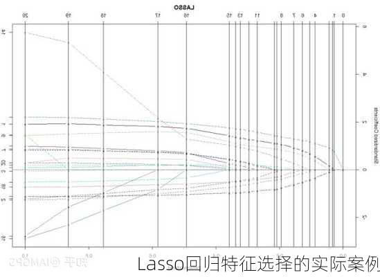 Lasso回归特征选择的实际案例
