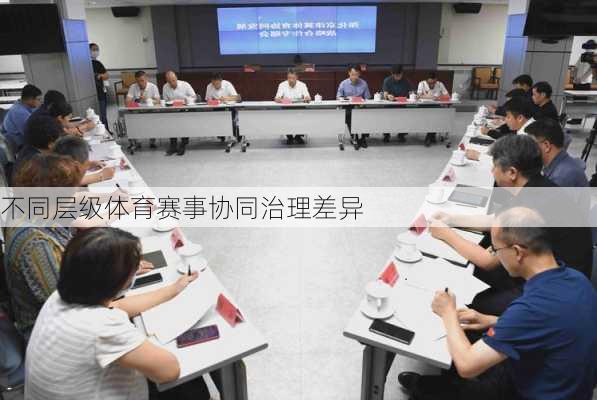 不同层级体育赛事协同治理差异