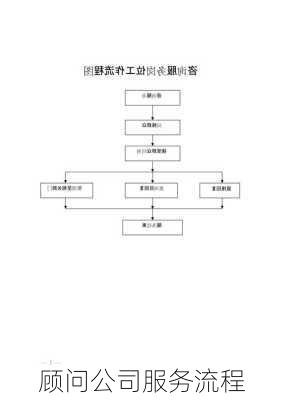 顾问公司服务流程