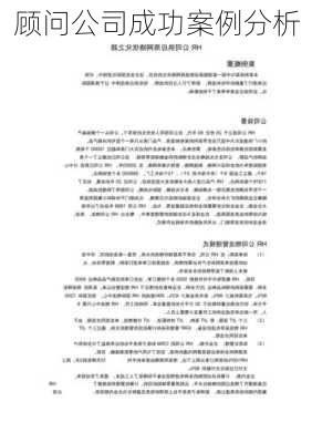 顾问公司成功案例分析