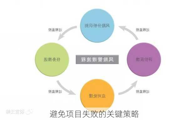 避免项目失败的关键策略