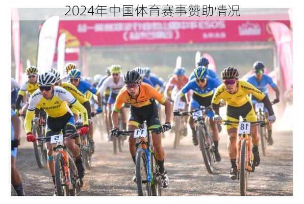 2024年中国体育赛事赞助情况