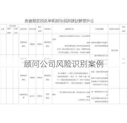 顾问公司风险识别案例