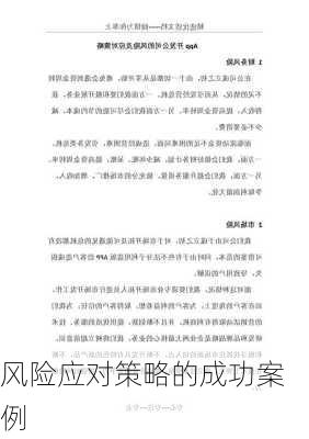 风险应对策略的成功案例