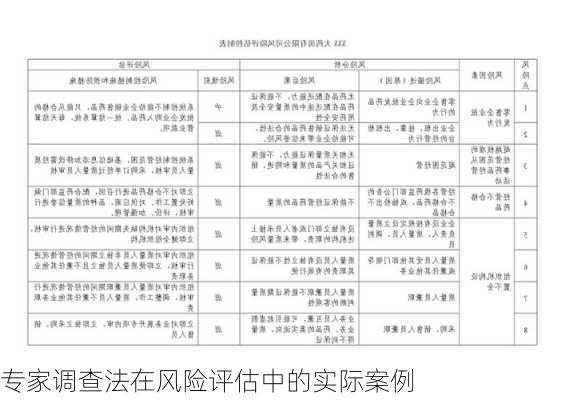 专家调查法在风险评估中的实际案例