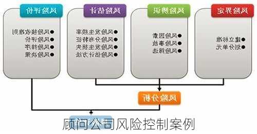 顾问公司风险控制案例