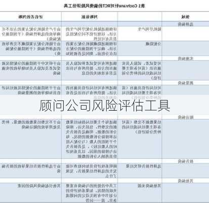 顾问公司风险评估工具