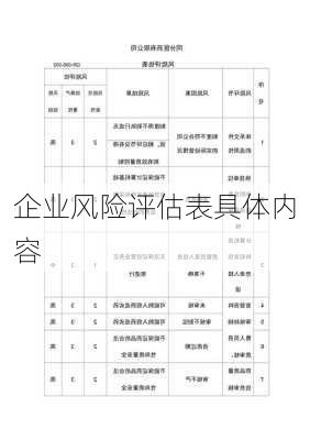 企业风险评估表具体内容