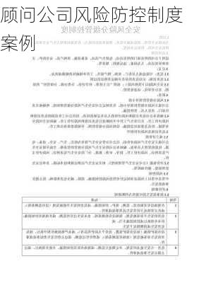 顾问公司风险防控制度案例