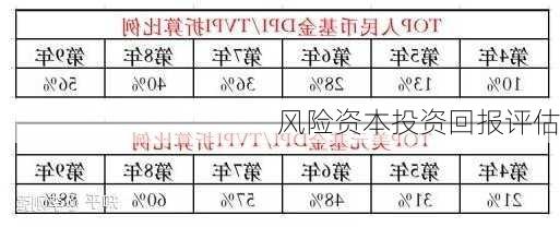风险资本投资回报评估
