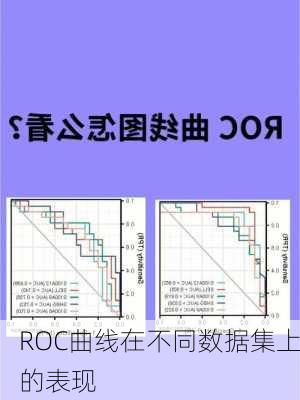 ROC曲线在不同数据集上的表现