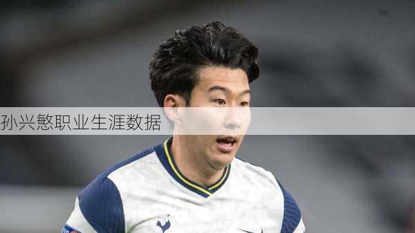 孙兴慜职业生涯数据