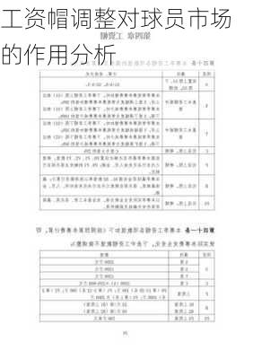 工资帽调整对球员市场的作用分析