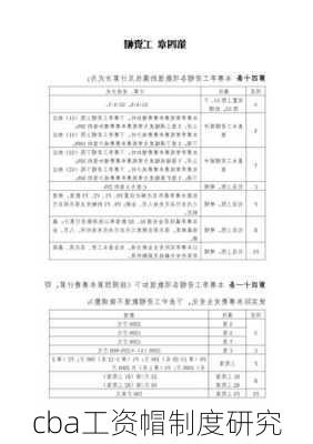 cba工资帽制度研究